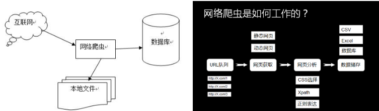 号码数据采集不用敲爬虫代码也能轻松爬数据